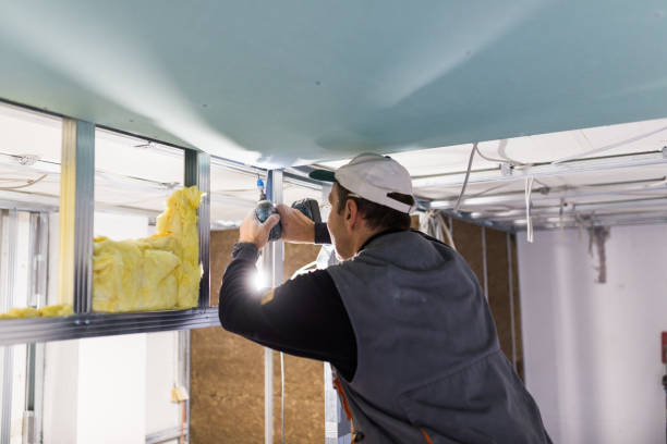 Best Insulation Installation Services in Hermann, MO