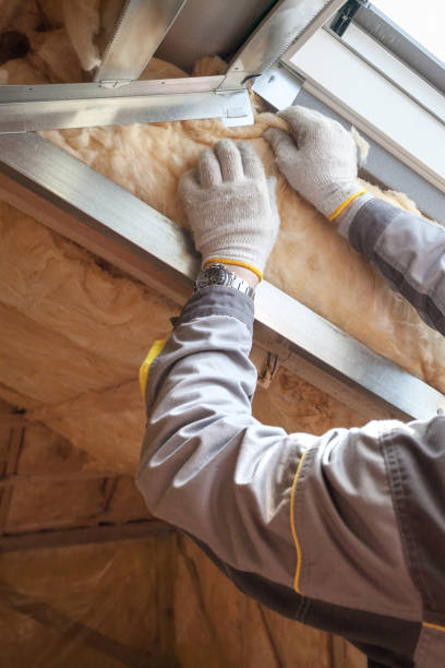 Best Commercial Insulation in Hermann, MO