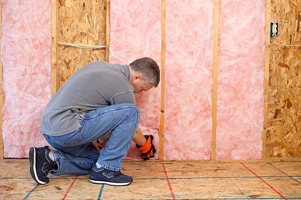 Best Insulation Maintenance and Repair in Hermann, MO